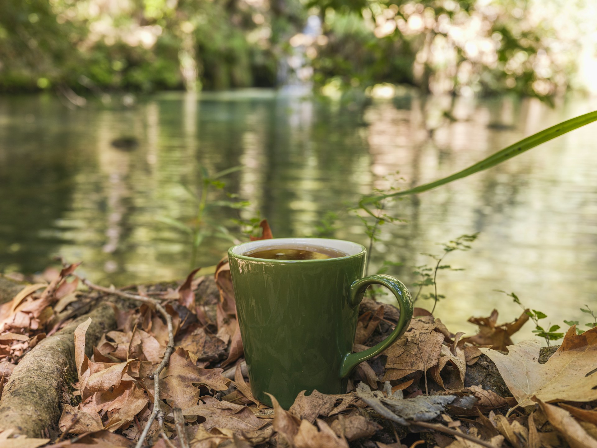 Утро у воды